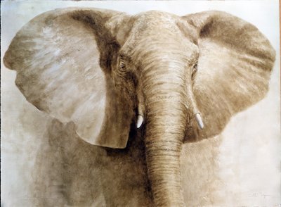 Elefante, 2004 de Lincoln Seligman